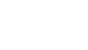 AUM Insurance & Investment Services Ltd. Logo